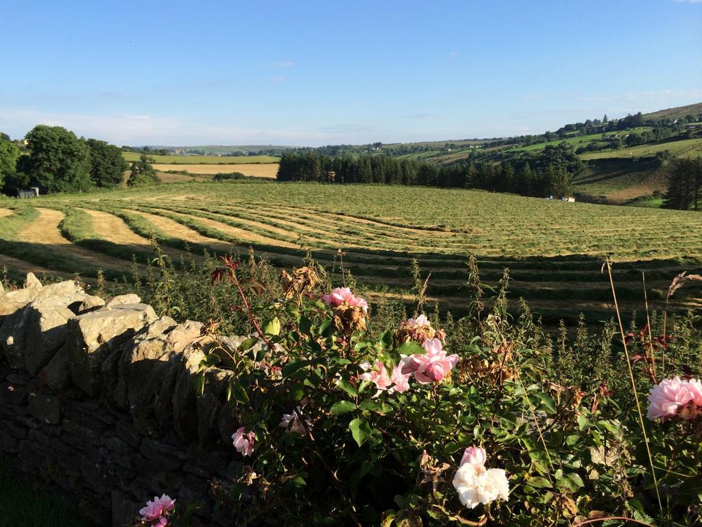 The Bothy Self Catering Accommodation Rousky Extérieur photo